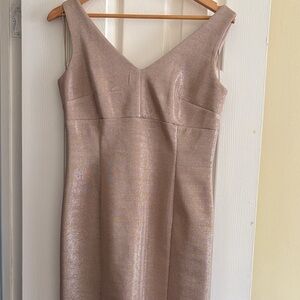 Elegant Shimmering Dress